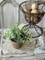 Greenery in Pot – 6" , Set of 4, Decorative Accent – Faux Plant in Rustic Paper Mache Pot - Holiday Tree